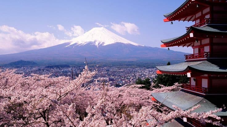 What nobody tells you before visiting Japan — Japan travel guide