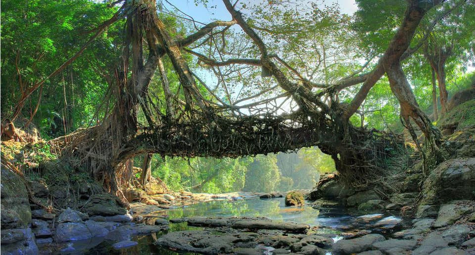 The café in Meghalaya everyone saves on Instagram — Meghalaya travel guide
