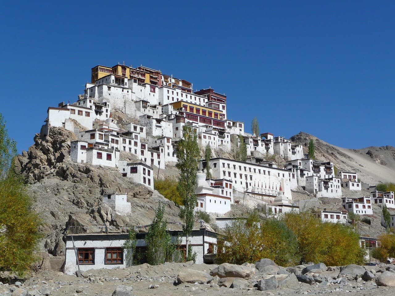 Ladakh in June: the complete real guide