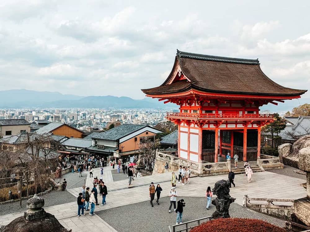 Japan Cherry Blossom Trail — view 2