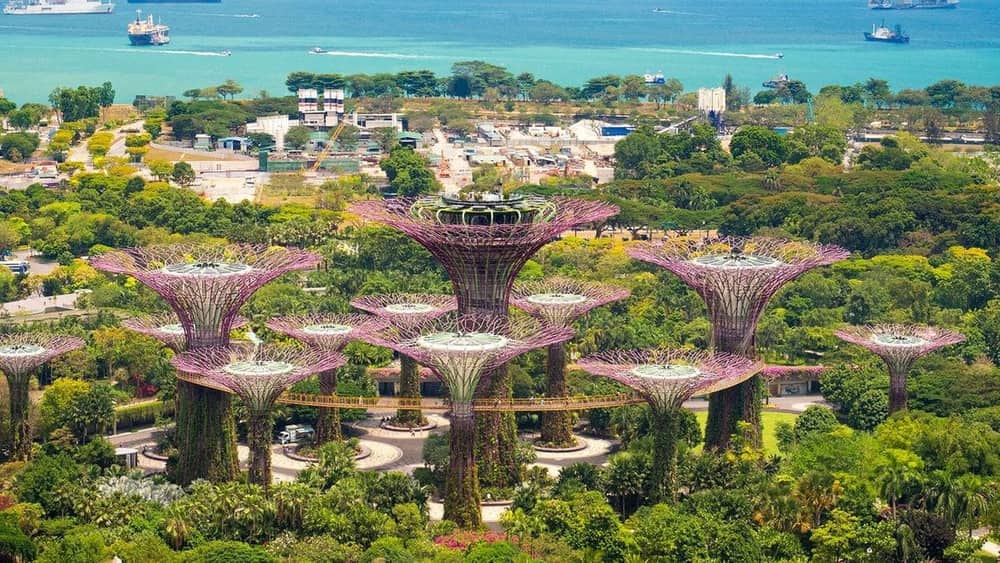 Singapore City Escape — view 2