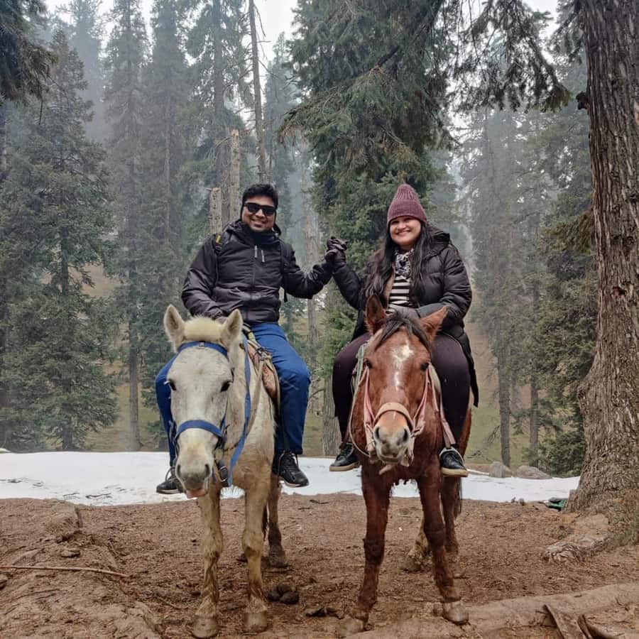 Traveller photo from Srinagar & Gulmarg, J&K 2