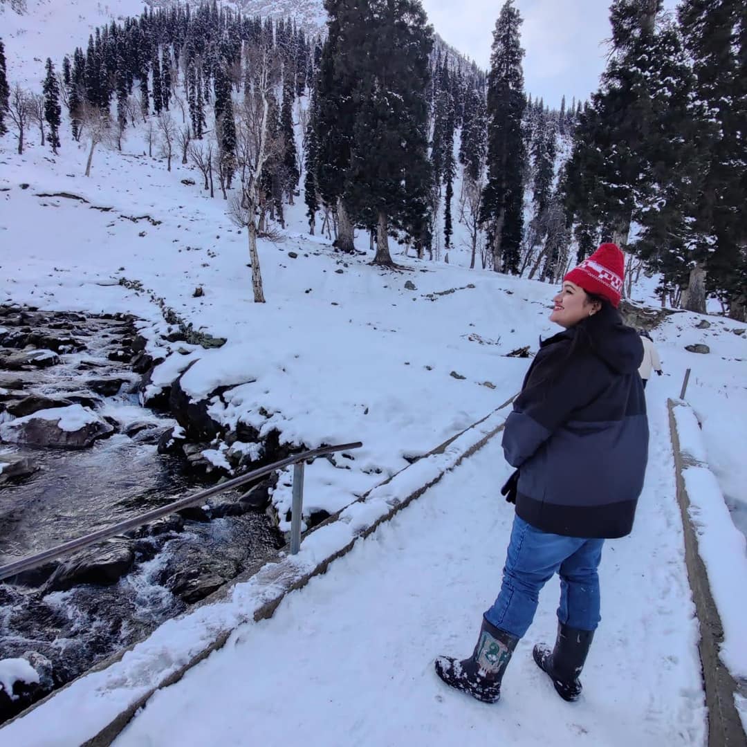 Traveller photo from Srinagar & Gulmarg, J&K 3